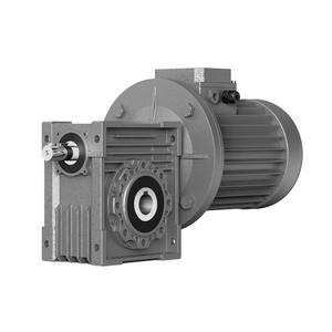 YRV Series Worm Gear Reducer