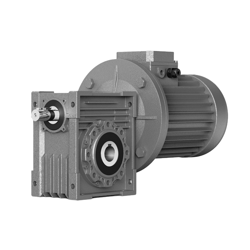 YRV Series Worm Gear Reducer