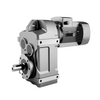 YF Series Parallel Shaft Geared Motor