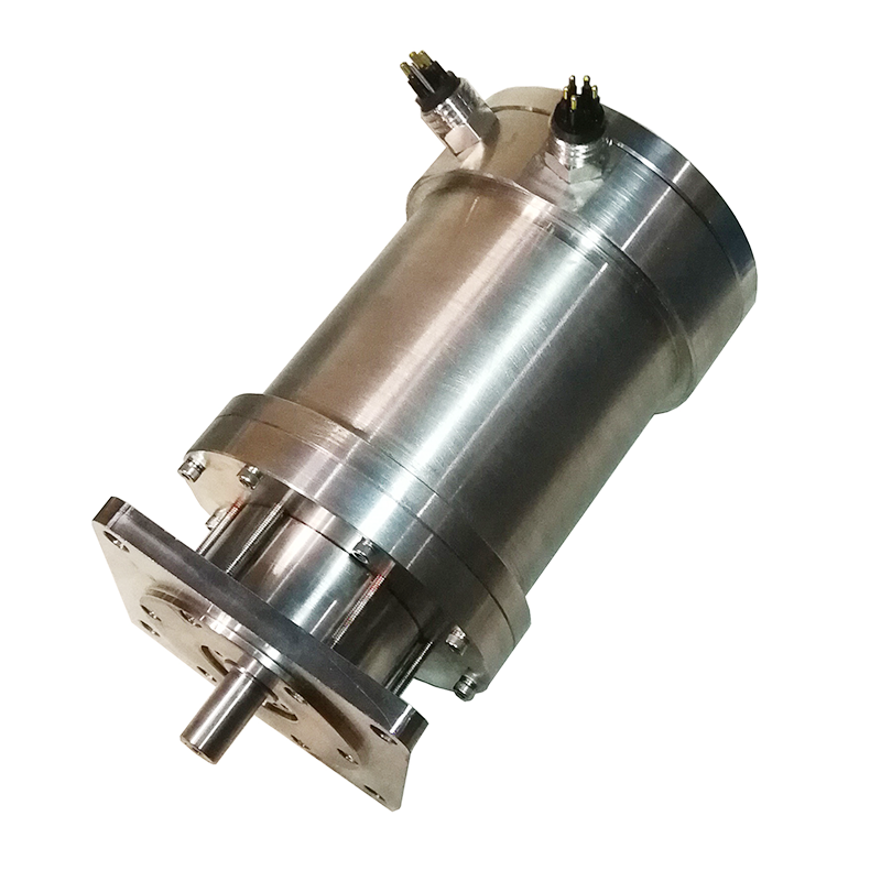 Stainless Steel AC Motor