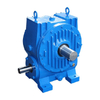 C Series Planar Double-Enveloping Worm Gear Unit